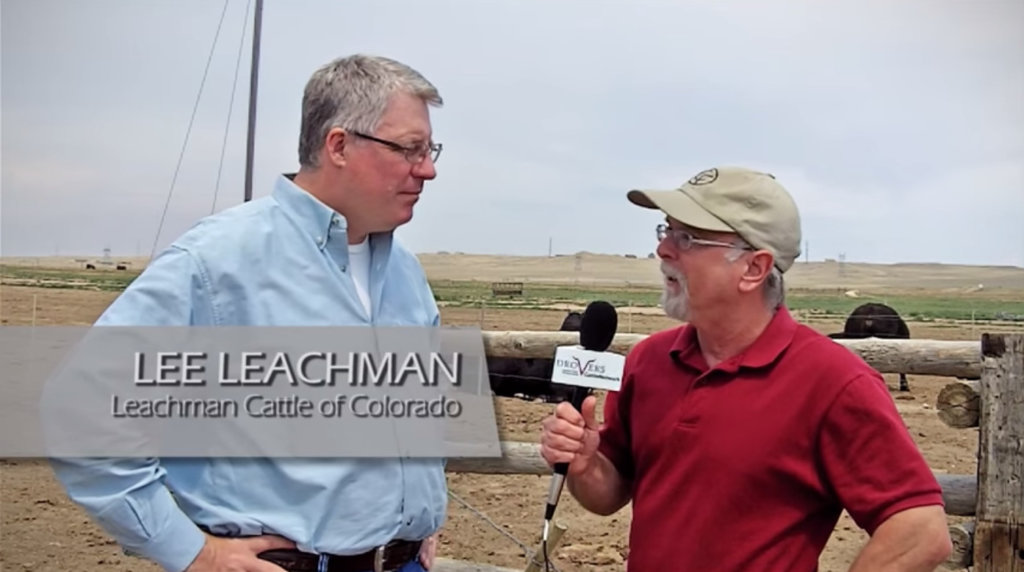 Crossbreeding Considerations in Cattle