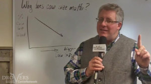 What is the optimum cow size?