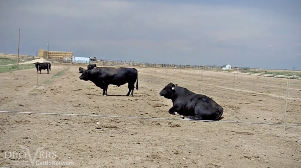 Can you select for fertility?