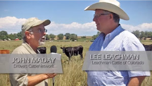 Tradeoffs in milk production