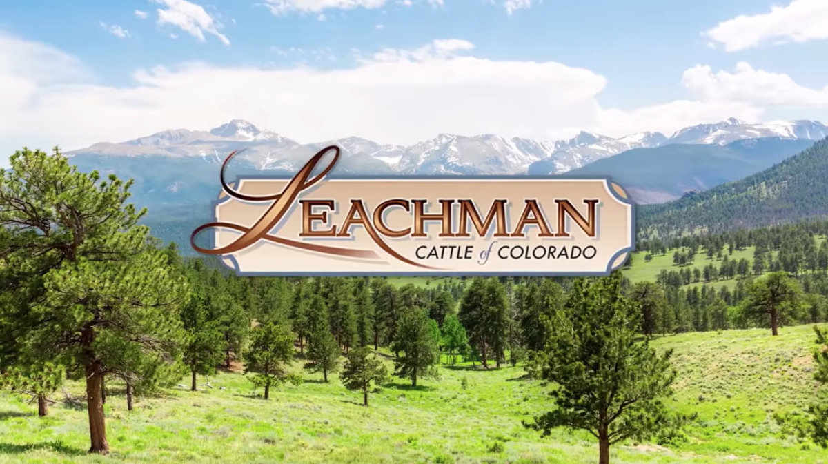 Leachman Profitable Herd