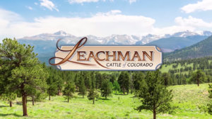 Leachman Profitable Herd