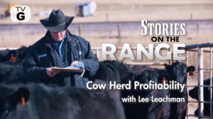Cow Herd Profitability Leachman