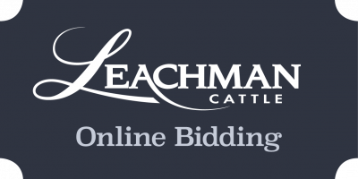 Y-12907315812-Online Bidding Platform Logo